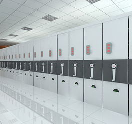 国家综合档案馆建筑功能规划方法研究 河北正昊柜业