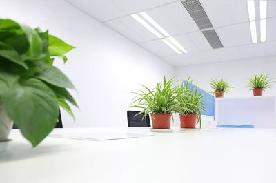 全行业应对家具新时代的最大特征:微利